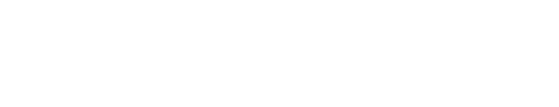 dataoverflow logo white
